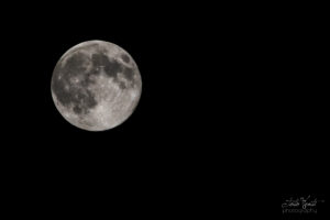 Moon