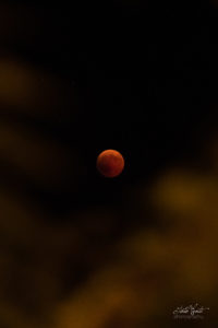 Eclissi di luna